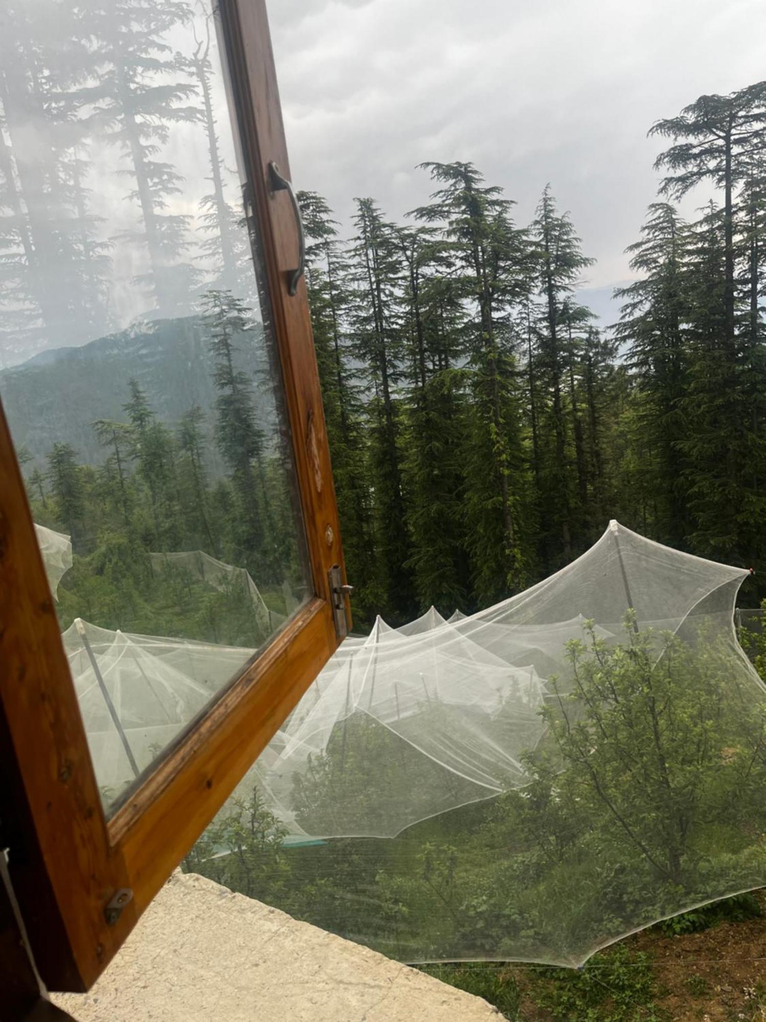 Norvin Homes Shimla Zewnętrze zdjęcie