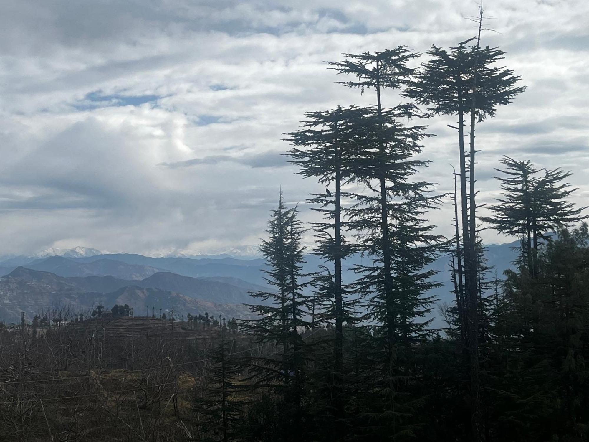 Norvin Homes Shimla Zewnętrze zdjęcie